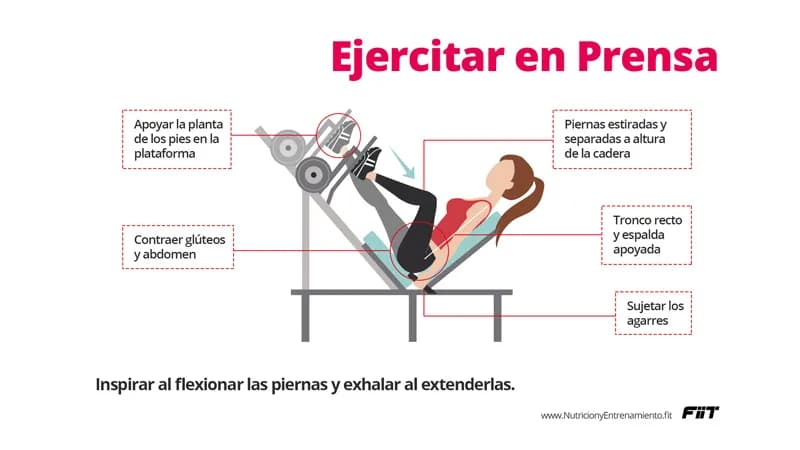 Todo lo que necesitas saber sobre la prensa gimnasio y sus beneficios