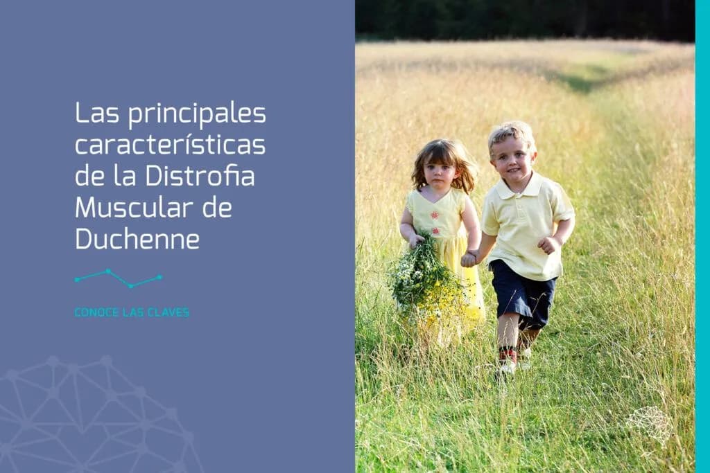 Todo lo que necesitas saber sobre la distrofia muscular de duchenne